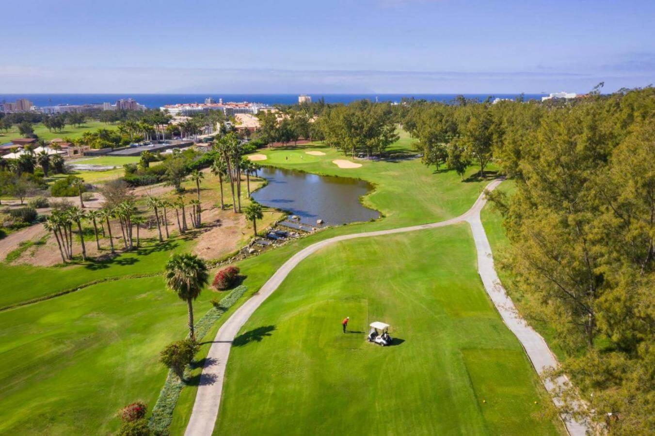 Luxury Borinquen With Parking And Swimming Pool * Playa de las Américas
